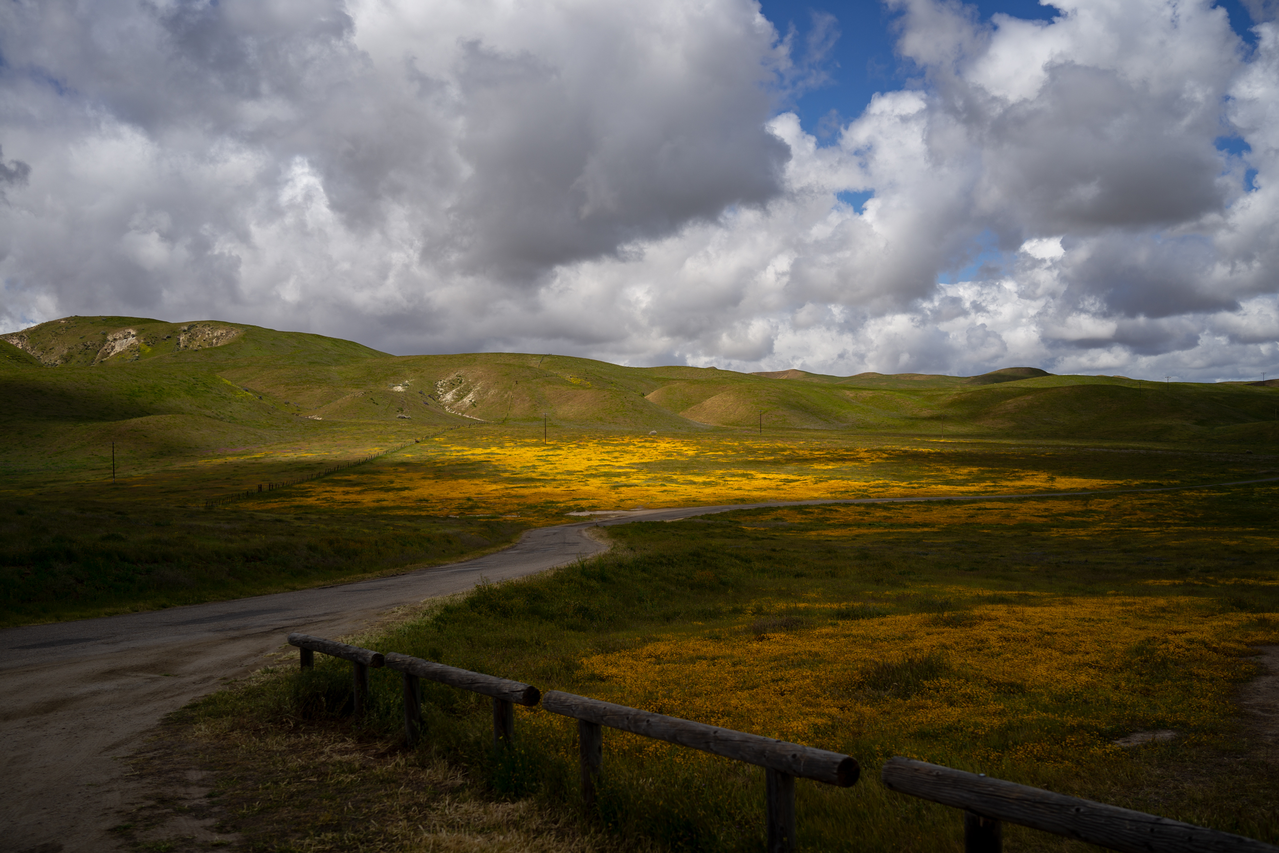 Carrizo Plain National Monument shows rolling green hills with California Goldfields growing in patches.